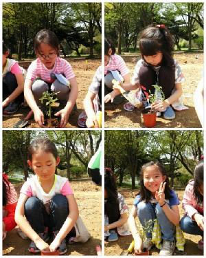 160426_120222_COLLAGE-1.jpg