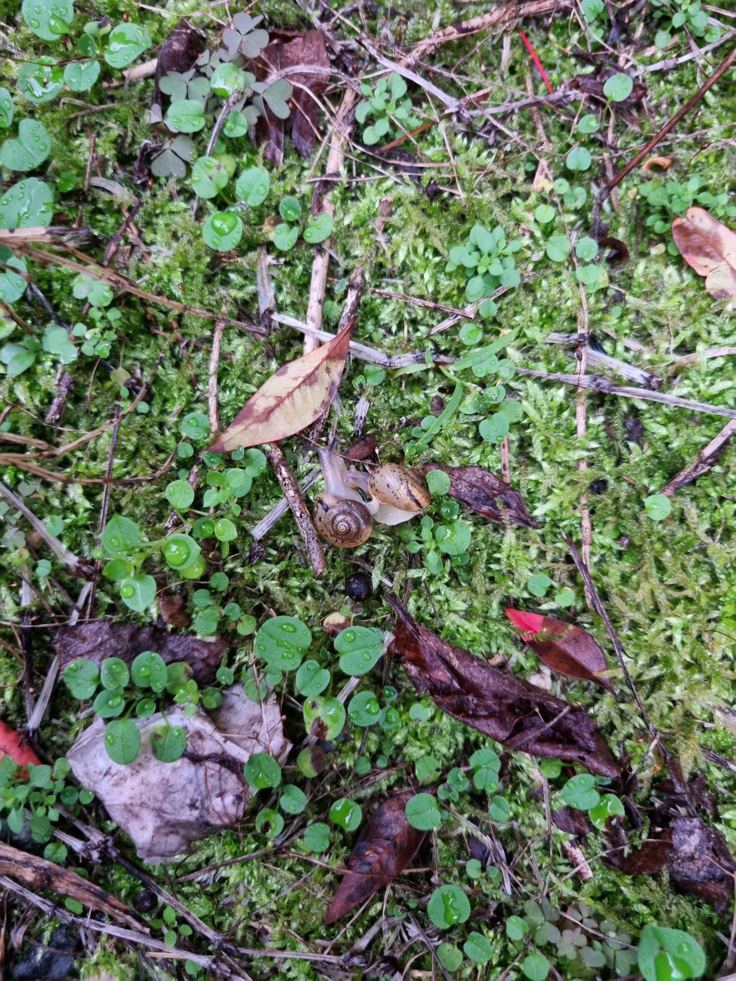 20231106_075948(0)